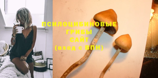 герыч Алексин