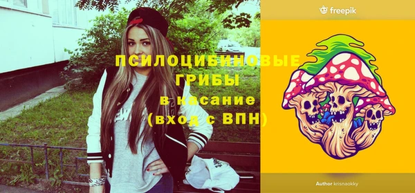 герыч Алексин
