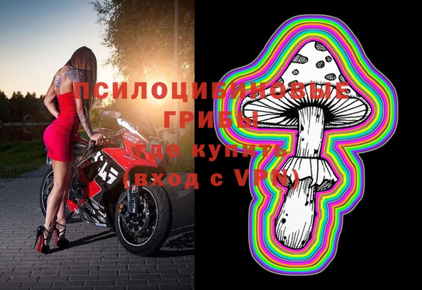 трава Алзамай