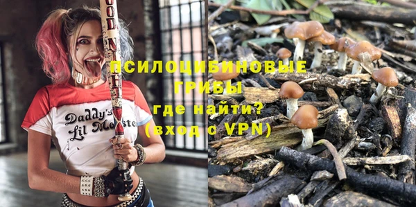 герыч Алексин